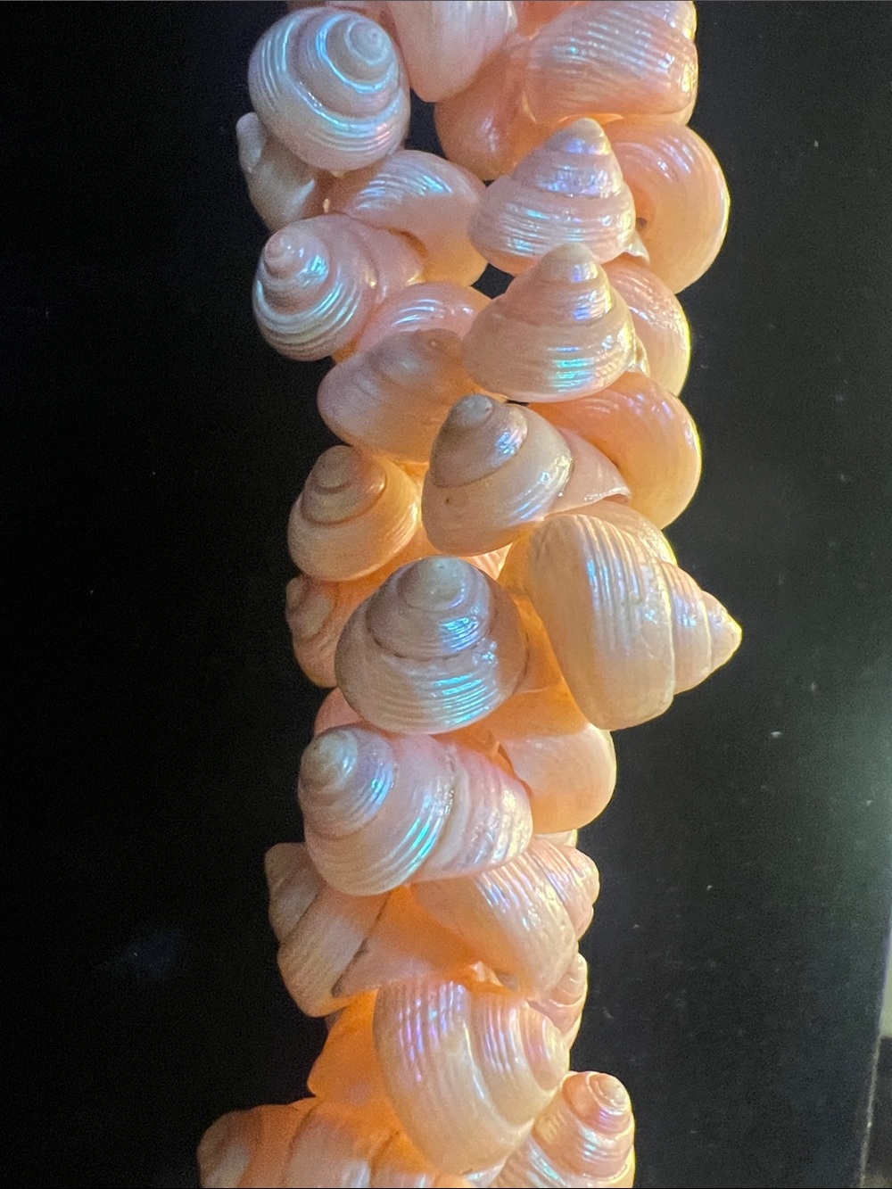 Iridescent Pink Shell Spiral Necklace for Women - Picture 3 of 5